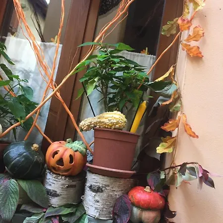 La Maison D'alizè Hébergement de vacances Lecco