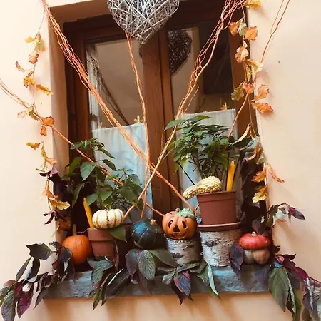La Maison D'alizè